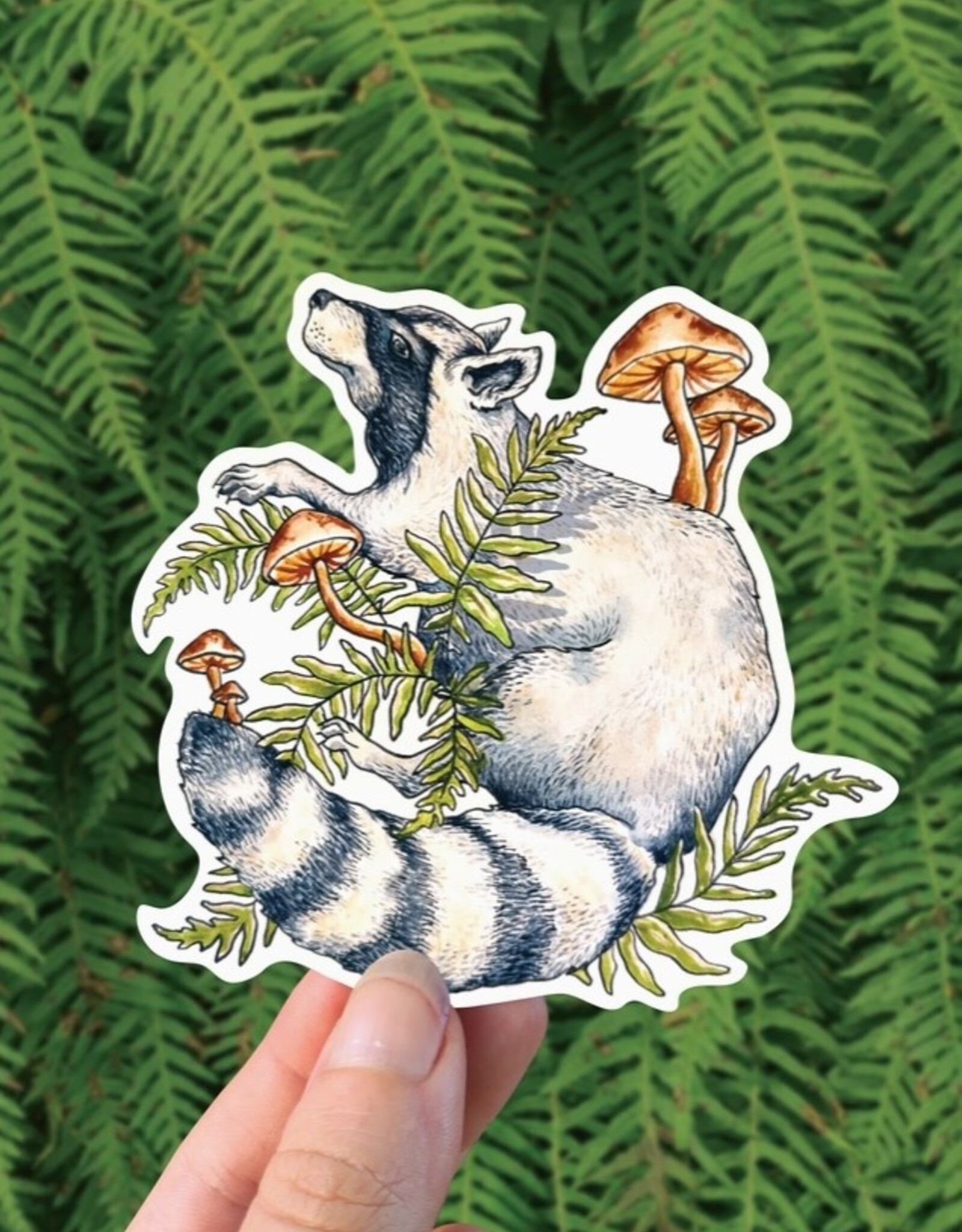 Raccoon Forager - Vinyl Sticker Art - Mushroom Forest Pnw