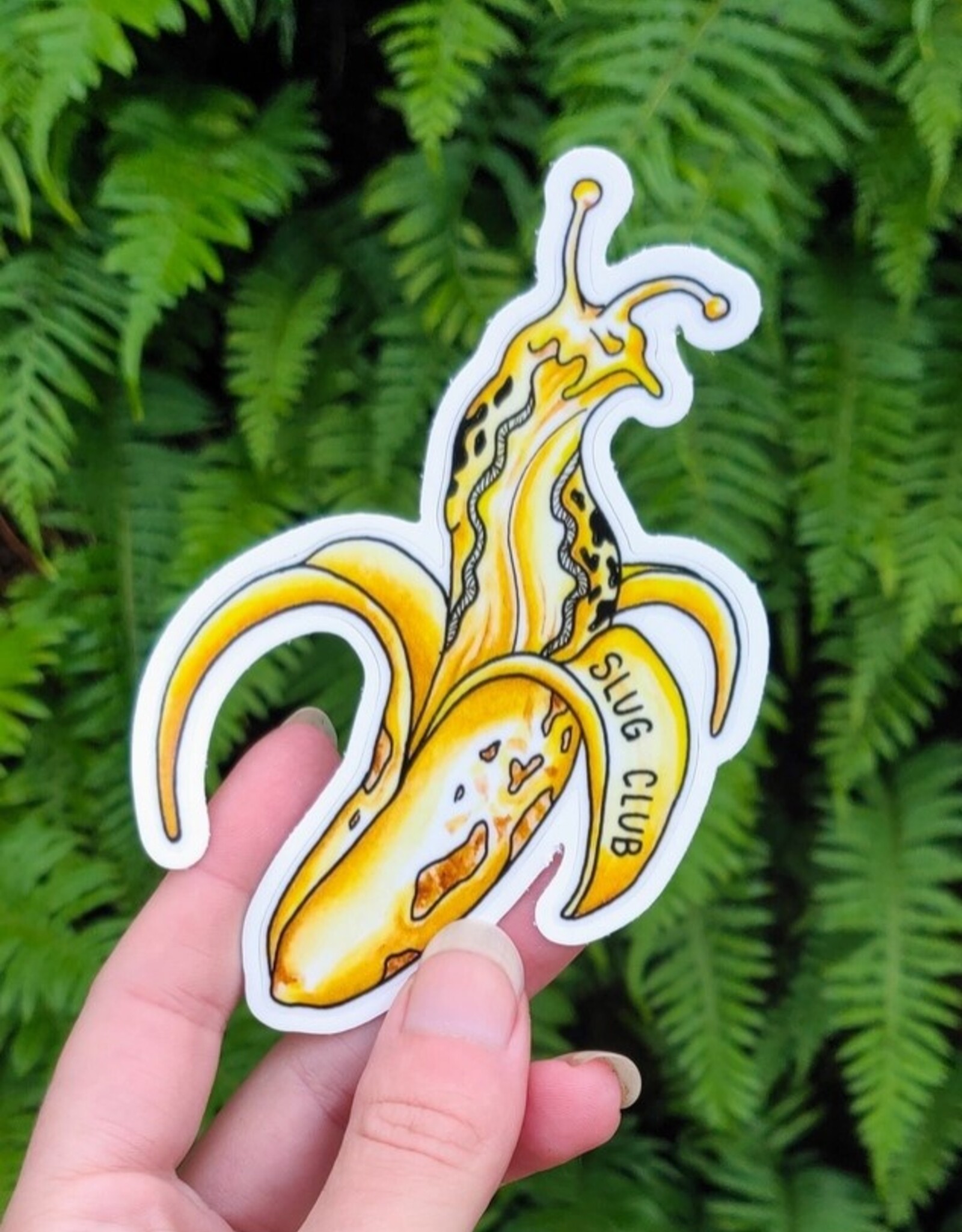 Slug Club - Vinyl Sticker Art - Banana Slug Nature Forest Pnw Hiking Ucsc Outdoor Watercolor