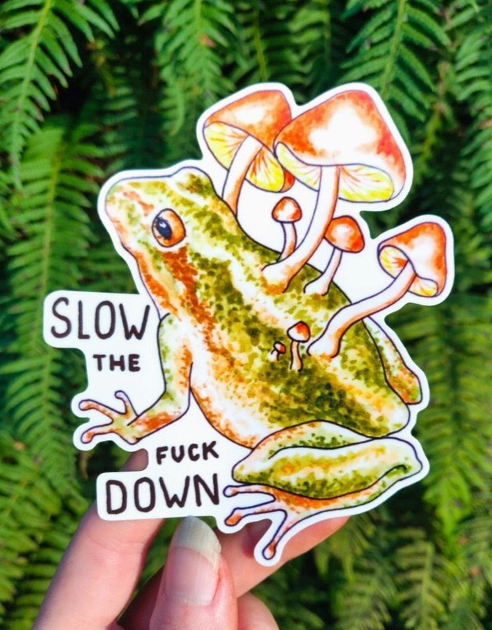 Toad Shroom - Vinyl Sticker Art - Frog Mushroom Pnw Witchy Forest Nature Watercolor