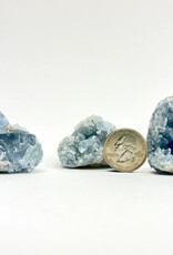 Celestite | Tiny Chunks | 30-40mm