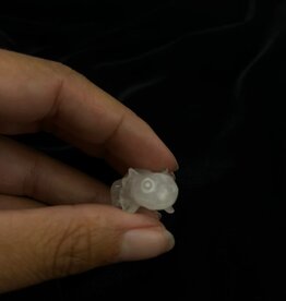 Carved Axolotl | Rose Quartz | 35-40mm