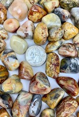 Crazy Lace Agate Tumbled XL