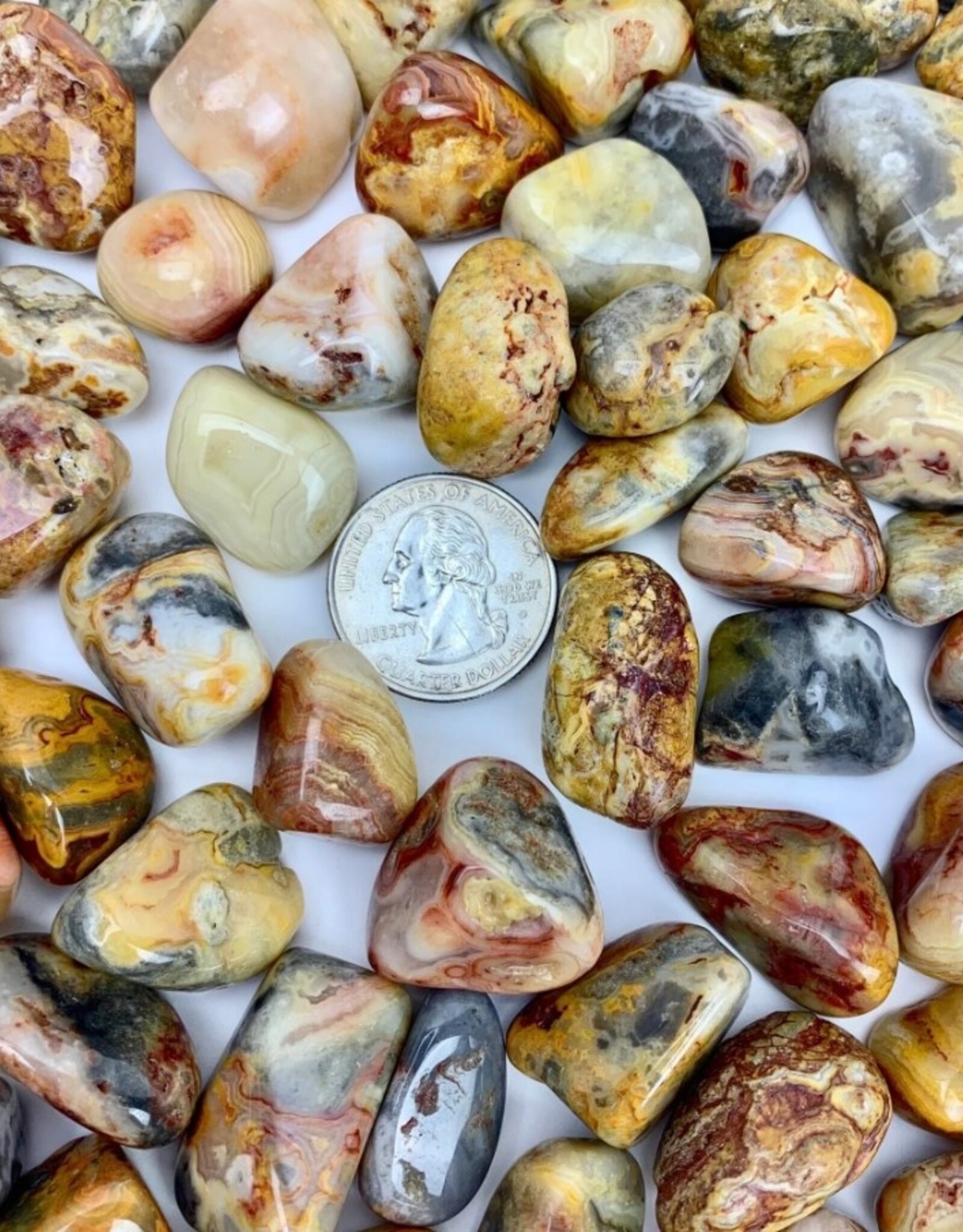 Crazy Lace Agate Tumbled XL