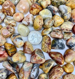 Crazy Lace Agate Tumbled XL