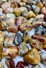 Crazy Lace Agate Tumbled XL