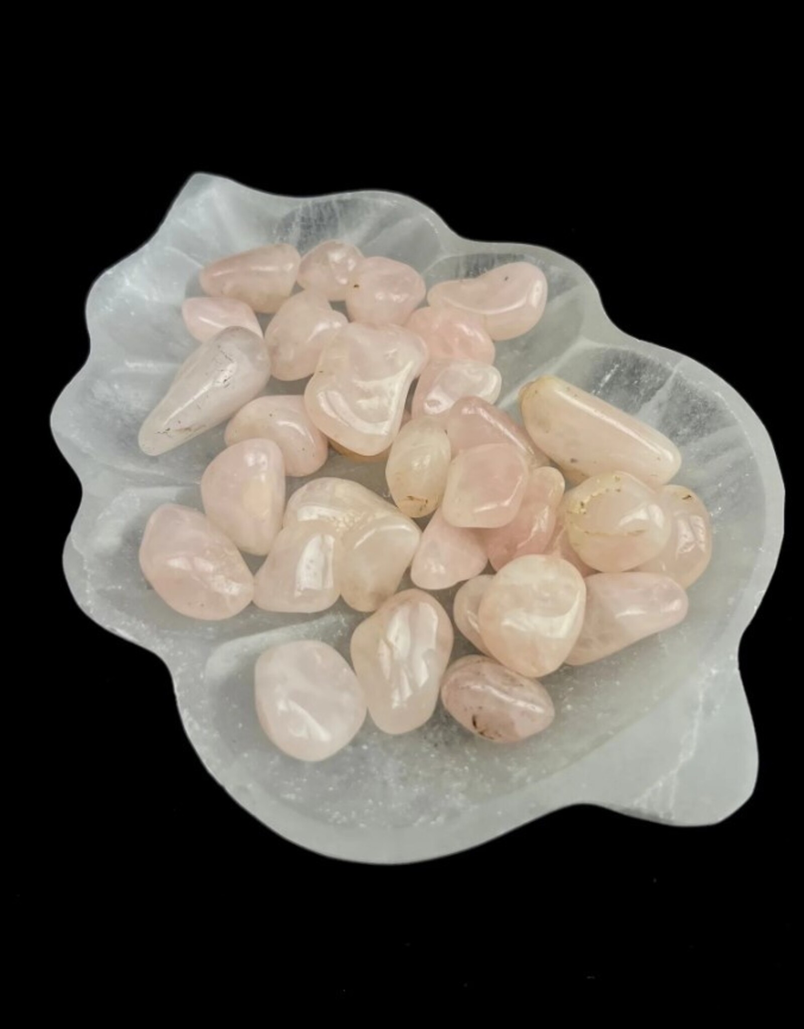 Selenite | Leaf Charging Bowl | Morocco
