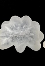 Selenite | Seashell Charging Bowl | Morocco