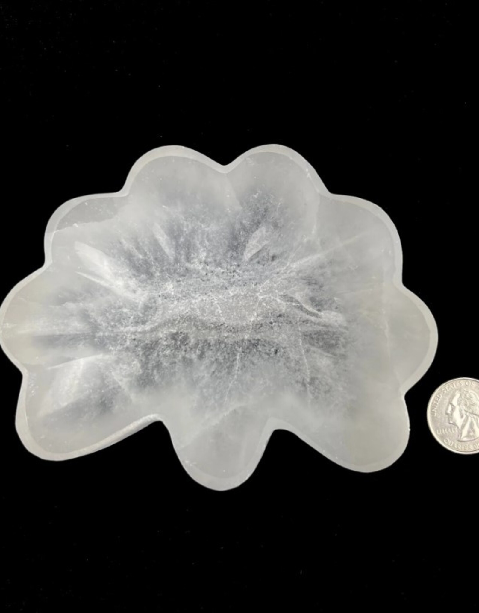 Selenite | Seashell Charging Bowl | Morocco