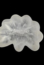 Selenite | Seashell Charging Bowl | Morocco