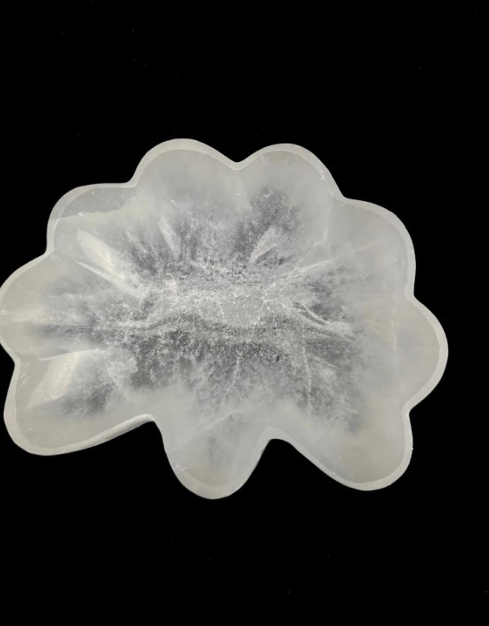Selenite | Seashell Charging Bowl | Morocco