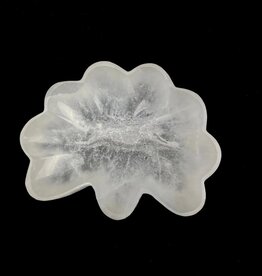 Selenite | Seashell Charging Bowl | Morocco