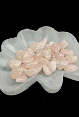 Selenite | Seashell Charging Bowl | Morocco