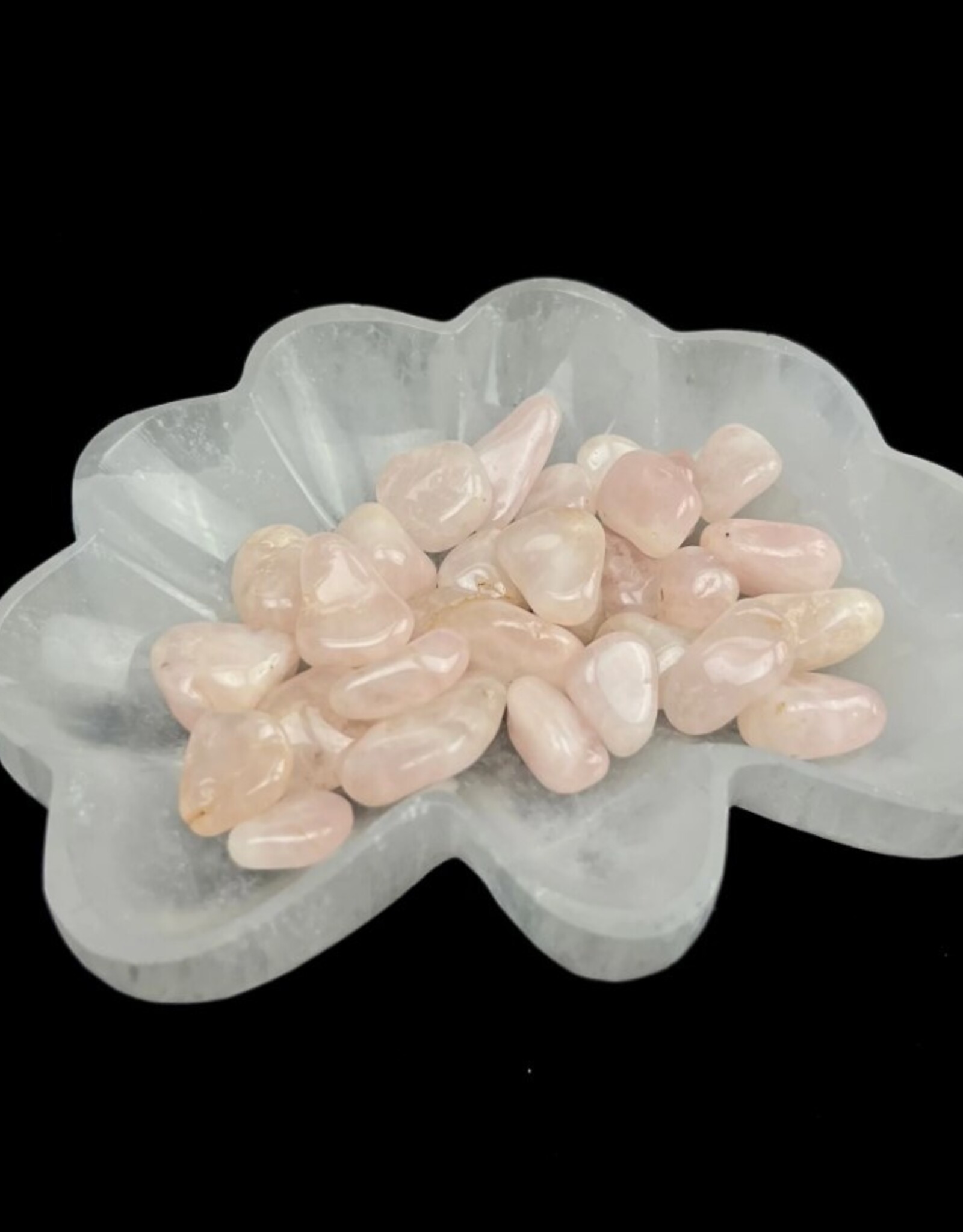 Selenite | Seashell Charging Bowl | Morocco