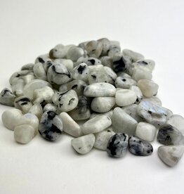 Nima Healing Rainbow Moonstone | Tumbled | 15-25mm | India