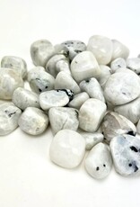 Rainbow Moonstone | Tumbled | 15-25mm | India