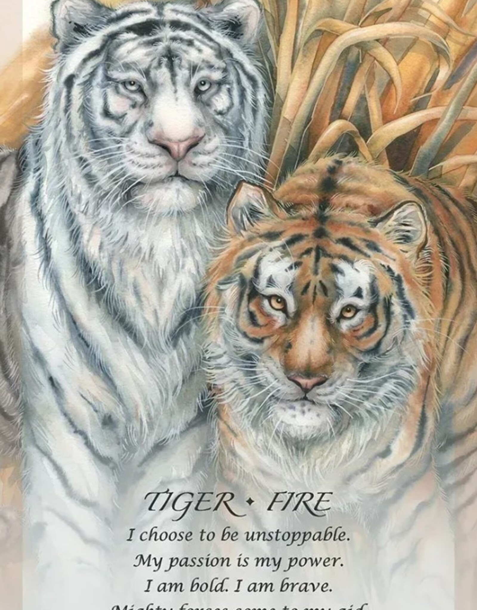 Spirit of the Animals Oracle
