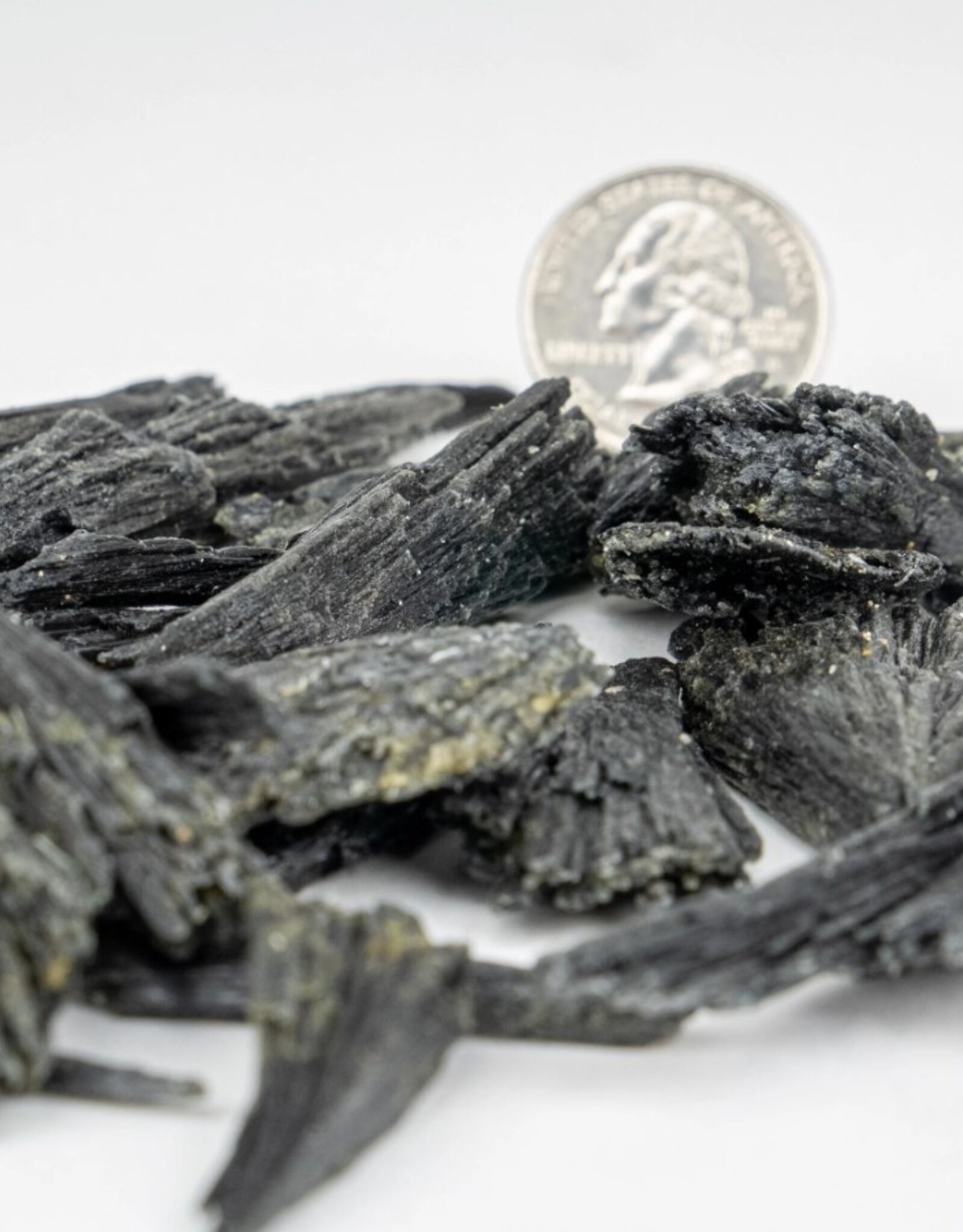 Black Kyanite Fans | 30-90MM | Brazil