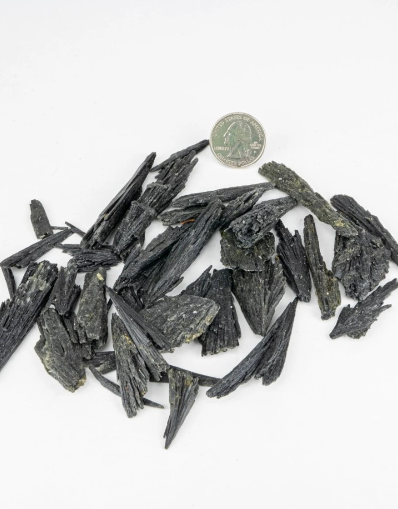 Black Kyanite Fans | 30-90MM | Brazil