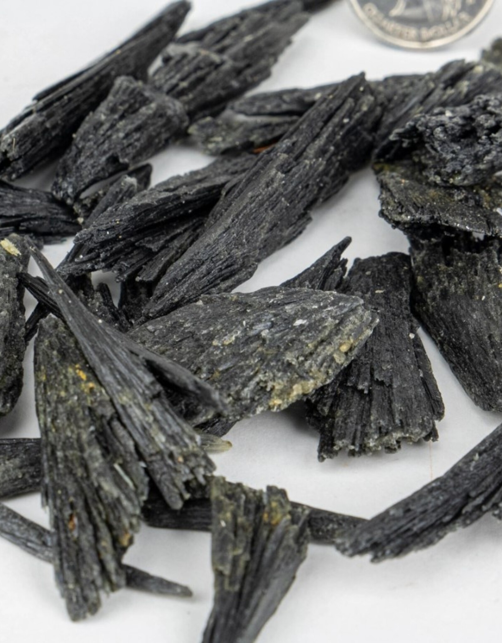 Black Kyanite Fans | 30-90MM | Brazil