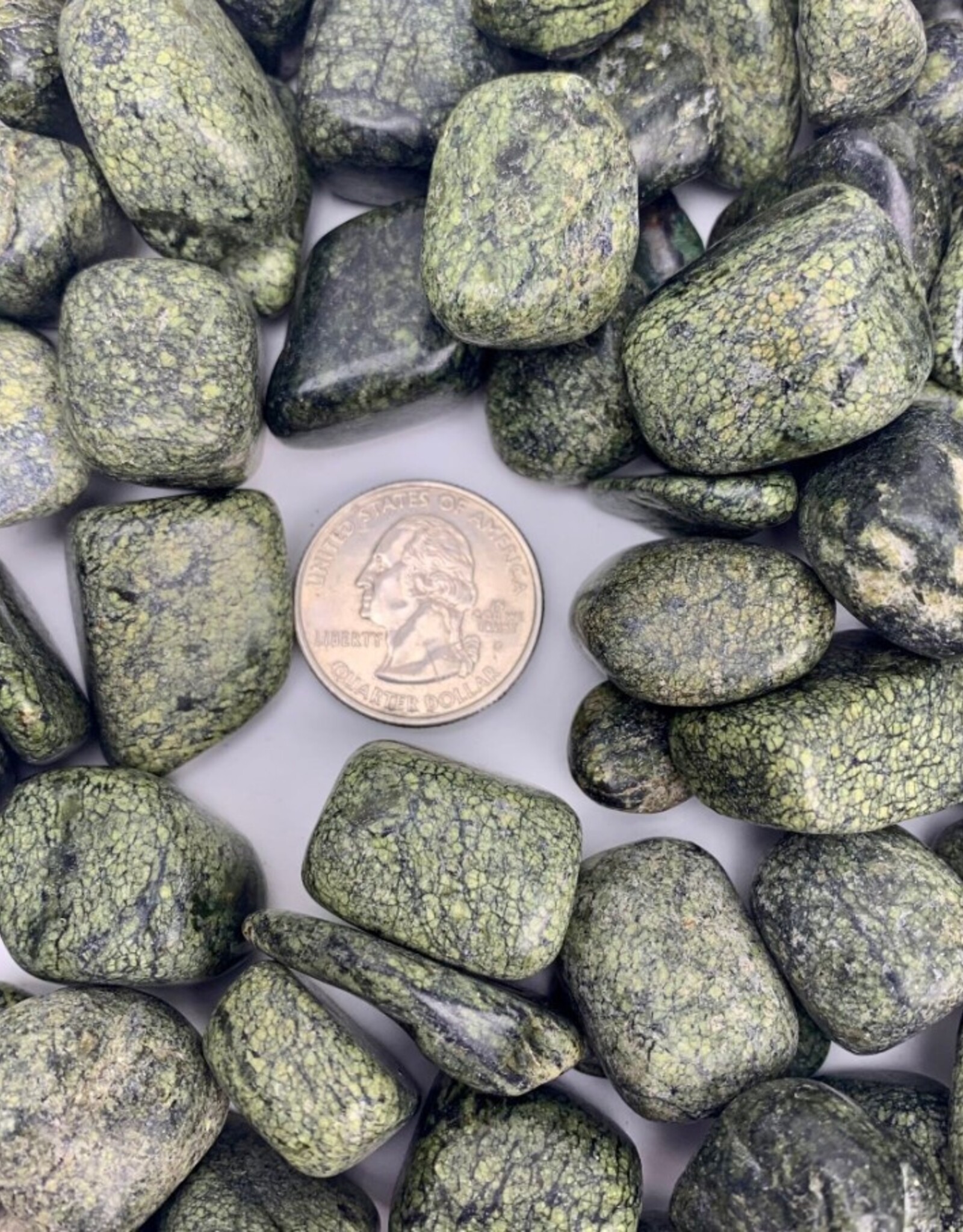 Green Lace Agate | Tumbled |10-20mm