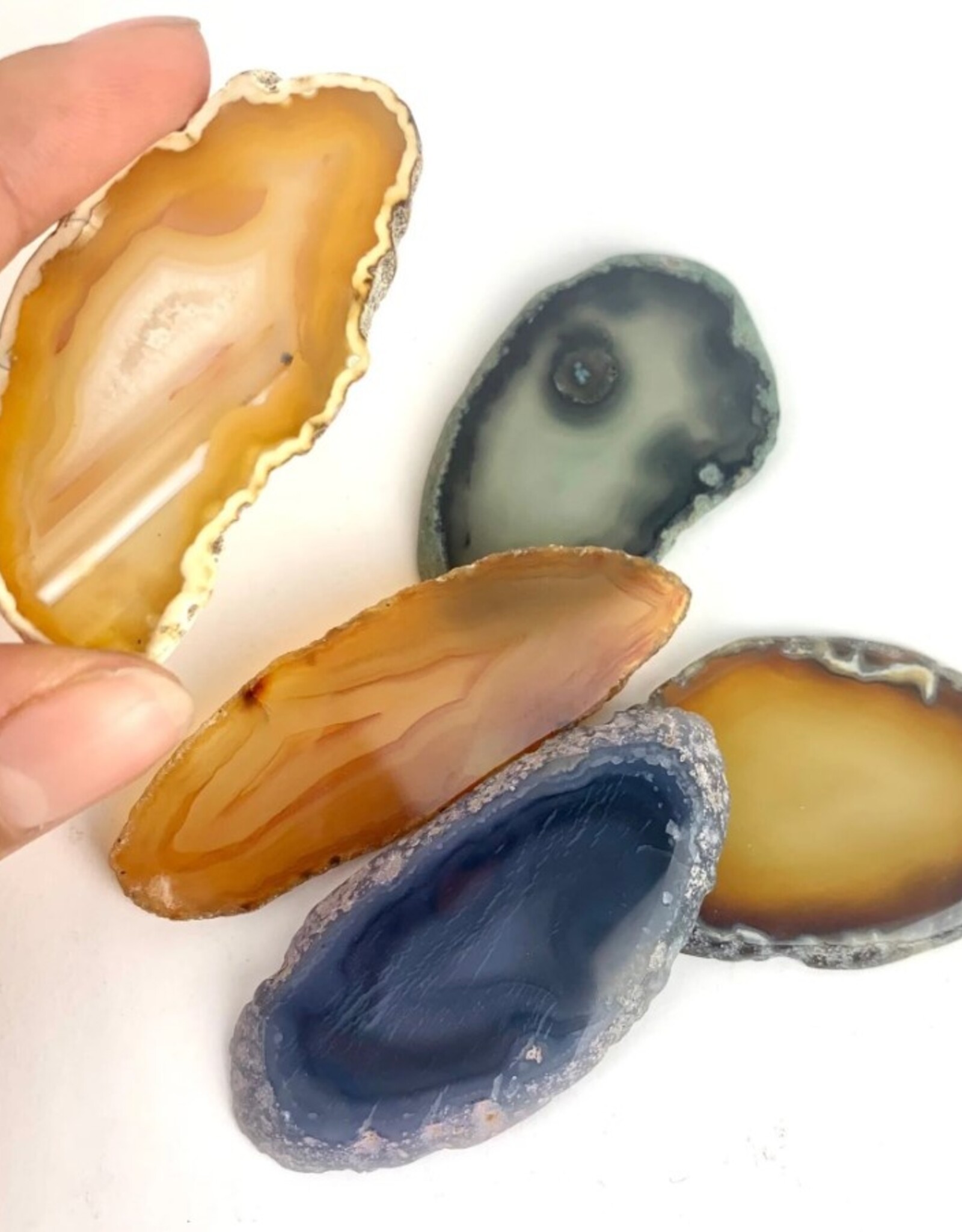 Geode Agate Slice | 50-60mm | Brazil