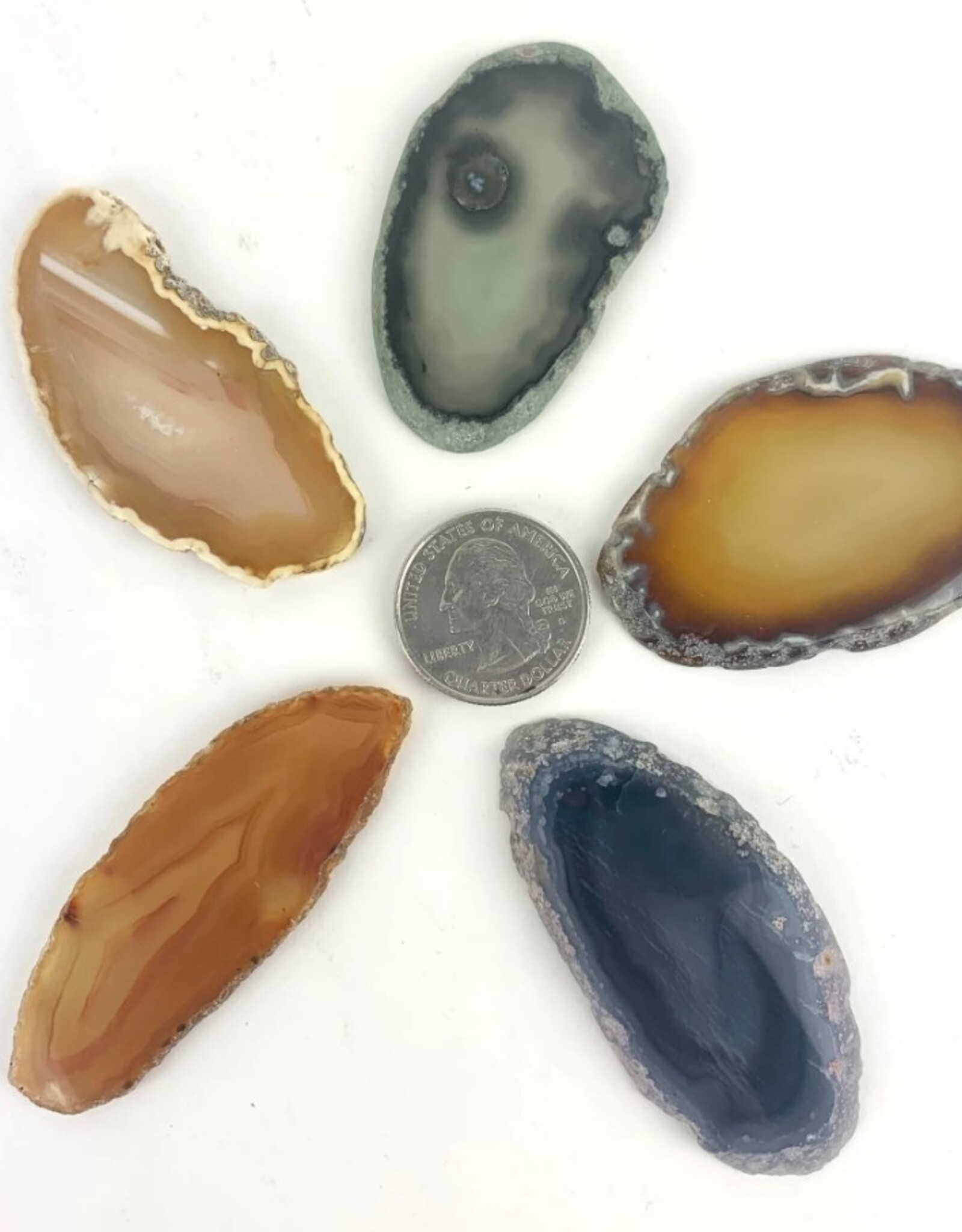 Geode Agate Slice | 50-60mm | Brazil