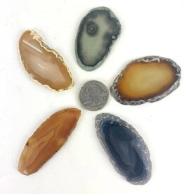 Agate Slice | 50-60mm | Brazil