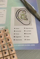 Ear Seeding / Acupressure At Home Kit 12pc Ear Seeding / Acupressure At Home Kit 12pc