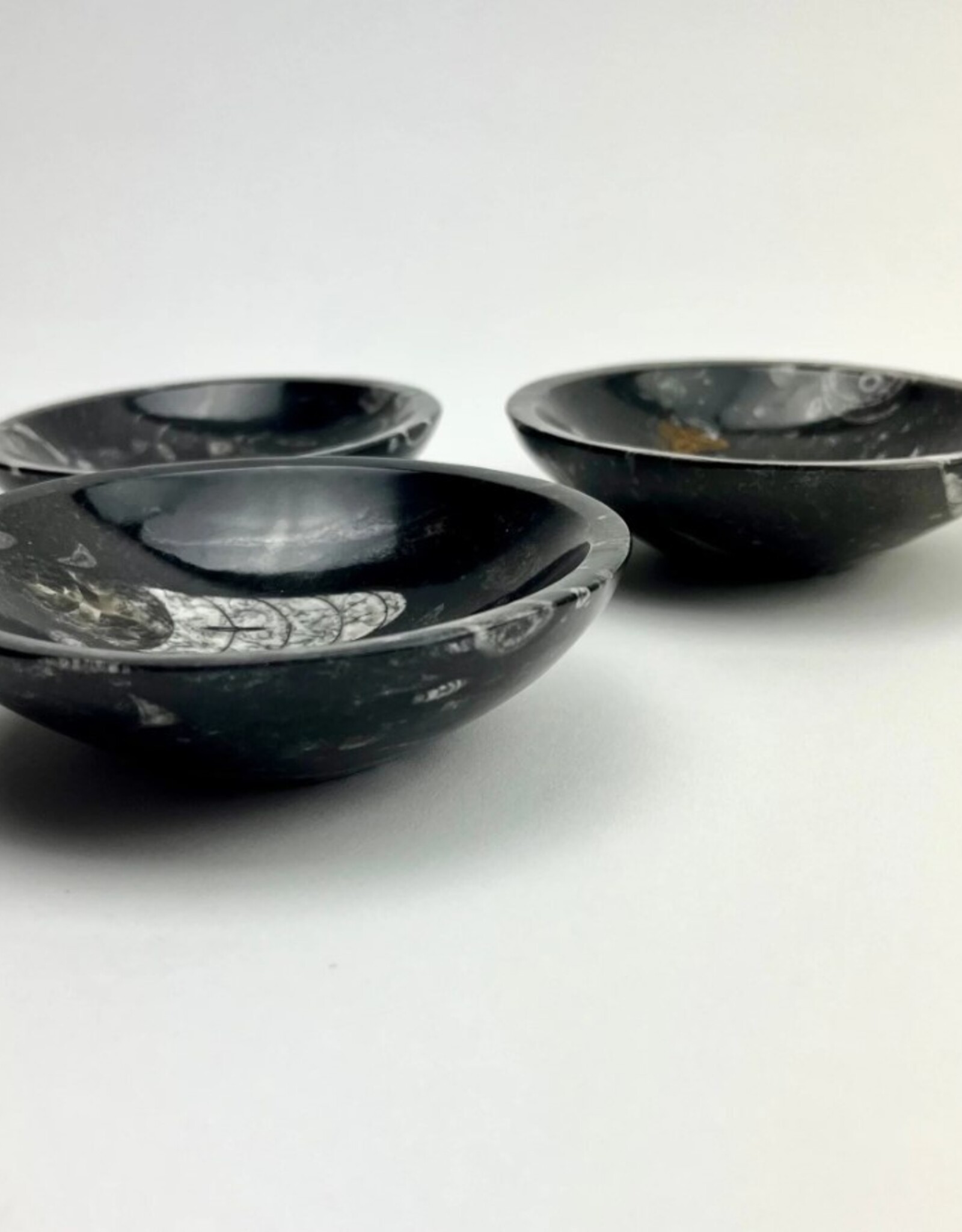 Orthoceras Fossil Bowl | 120mm | Morocco