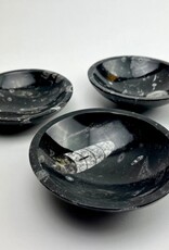 Orthoceras Fossil Bowl | 120mm | Morocco