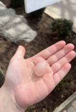 Crystal Egg | 30MM |