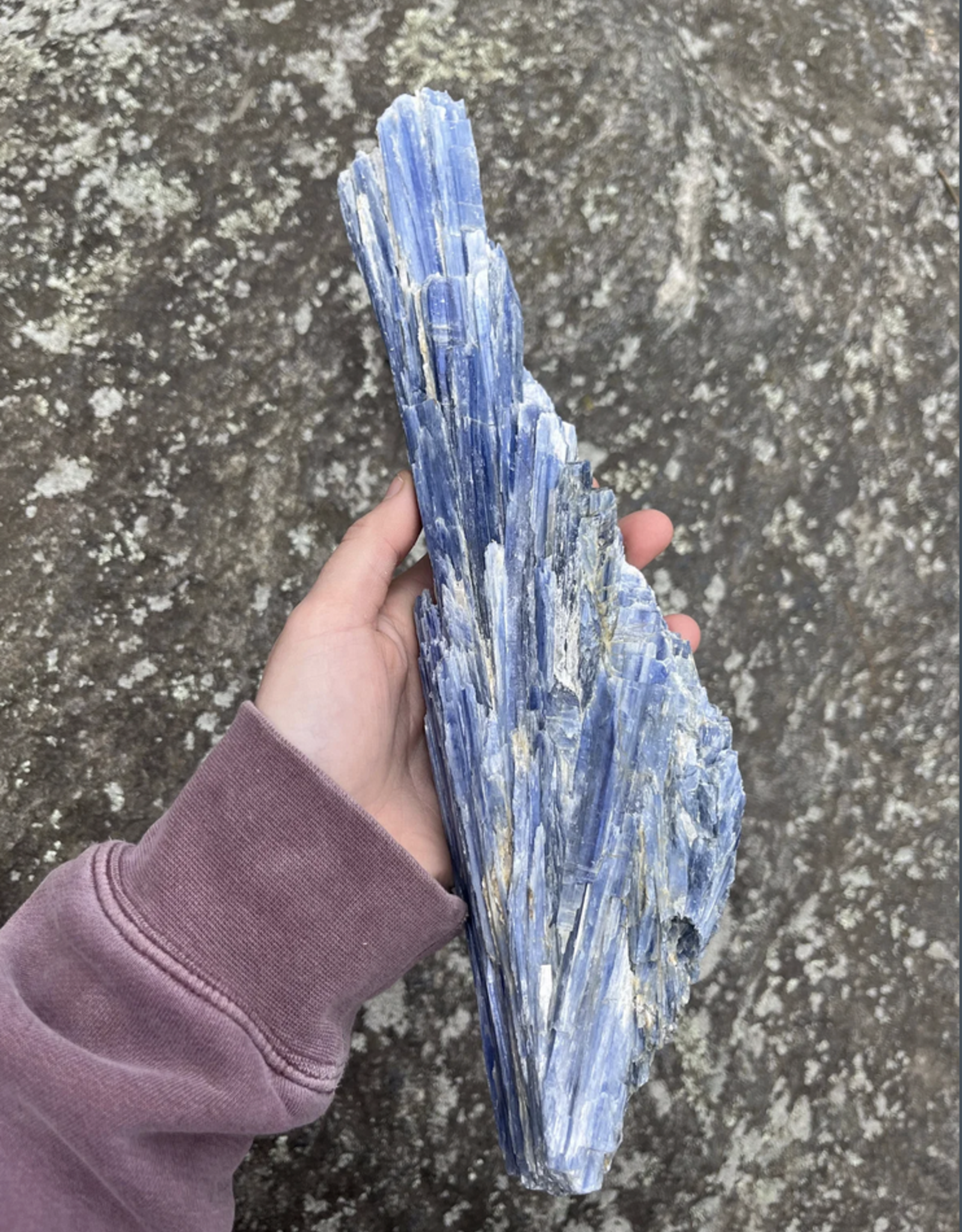 Blue Kyanite Fan | A | 1.4kg