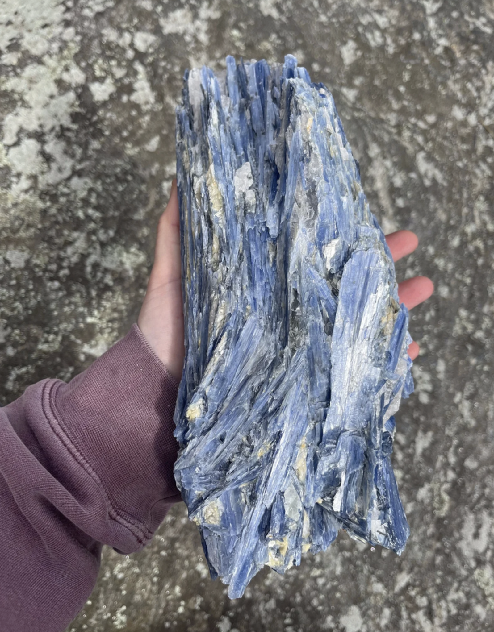 Blue Kyanite Fan | B | 2.8 kg