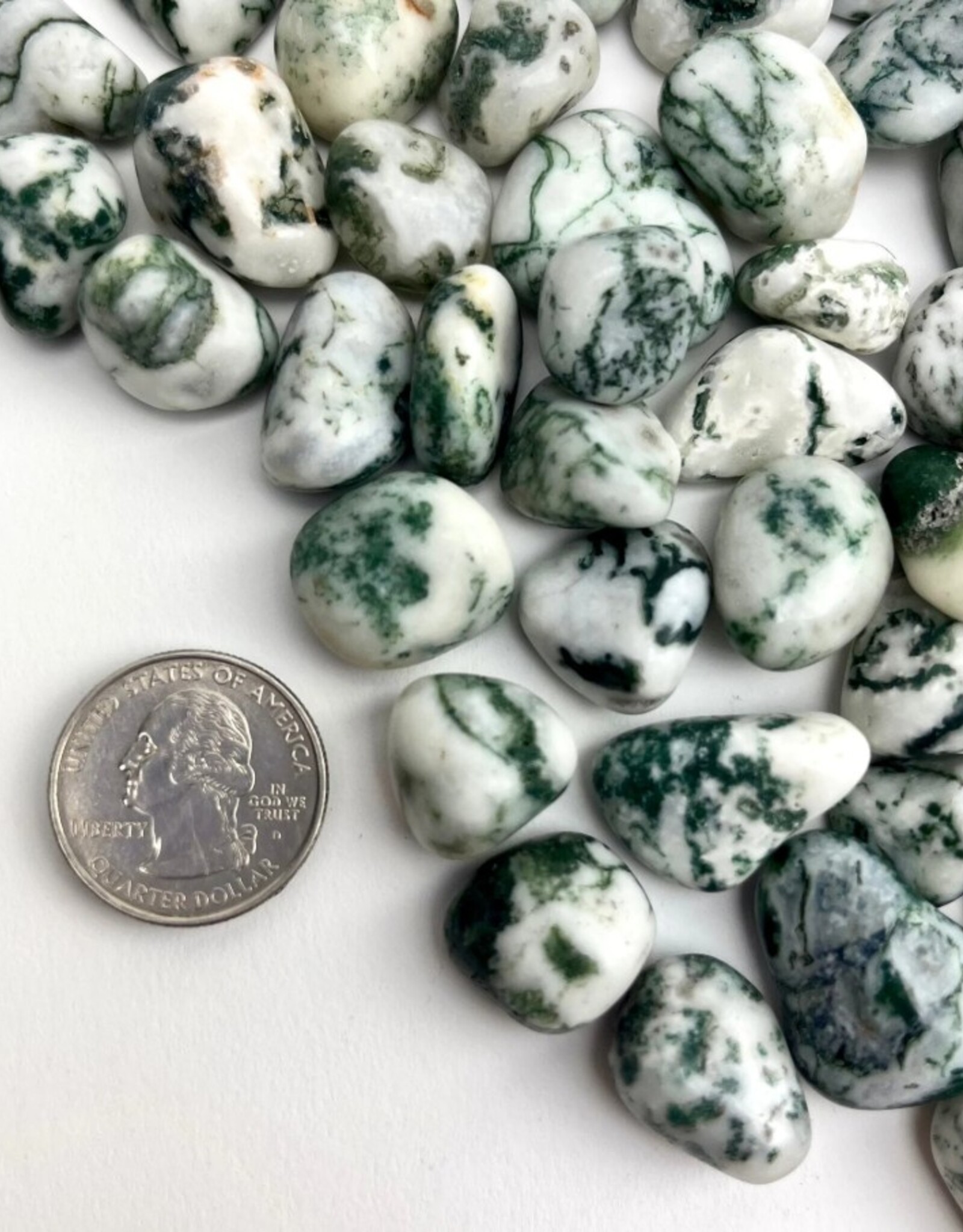 Tree Agate Tumbled | 15-25MM | India