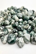 Tree Agate Tumbled | 15-25MM | India