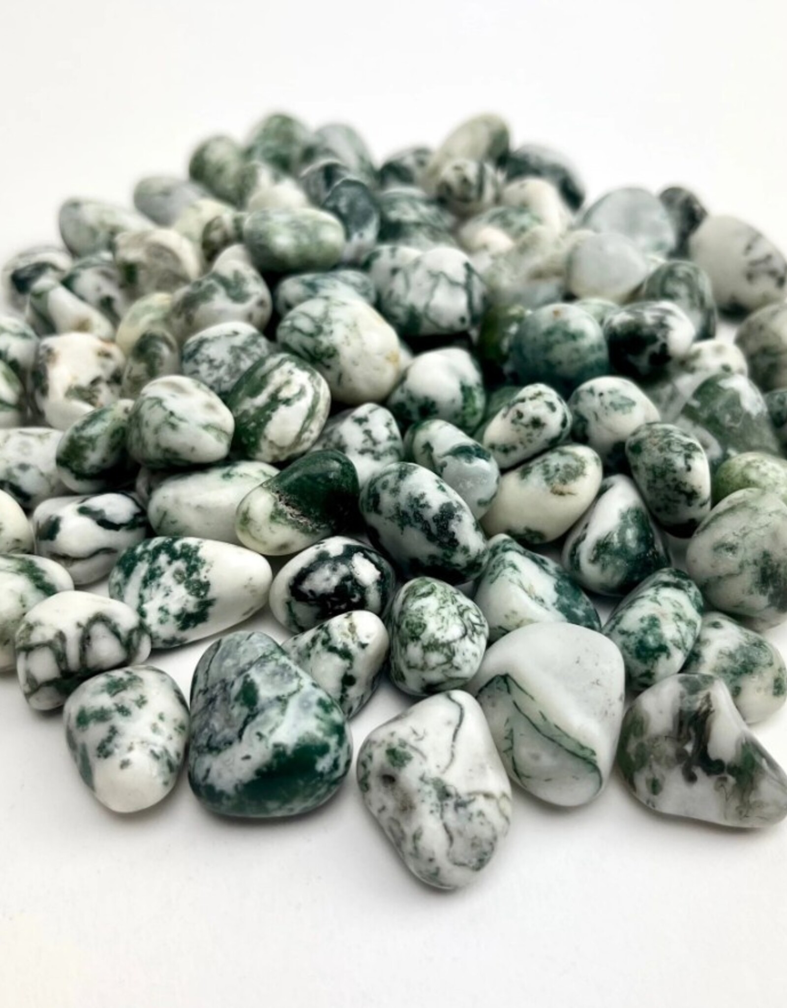Tree Agate Tumbled | 15-25MM | India