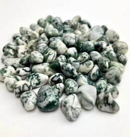 Tree Agate Tumbled | 15-25MM | India