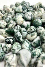 Tree Agate Tumbled | 15-25MM | India