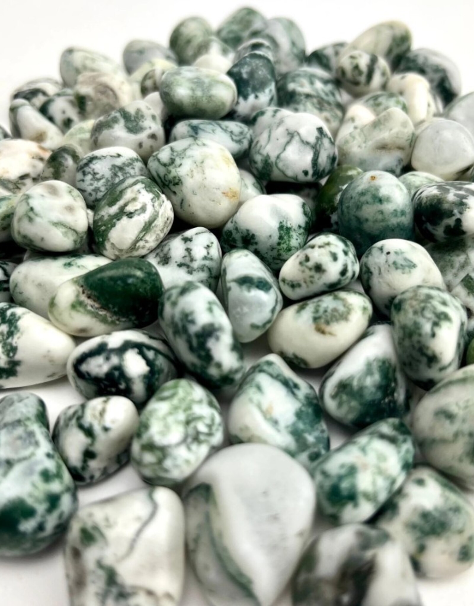 Tree Agate Tumbled | 15-25MM | India