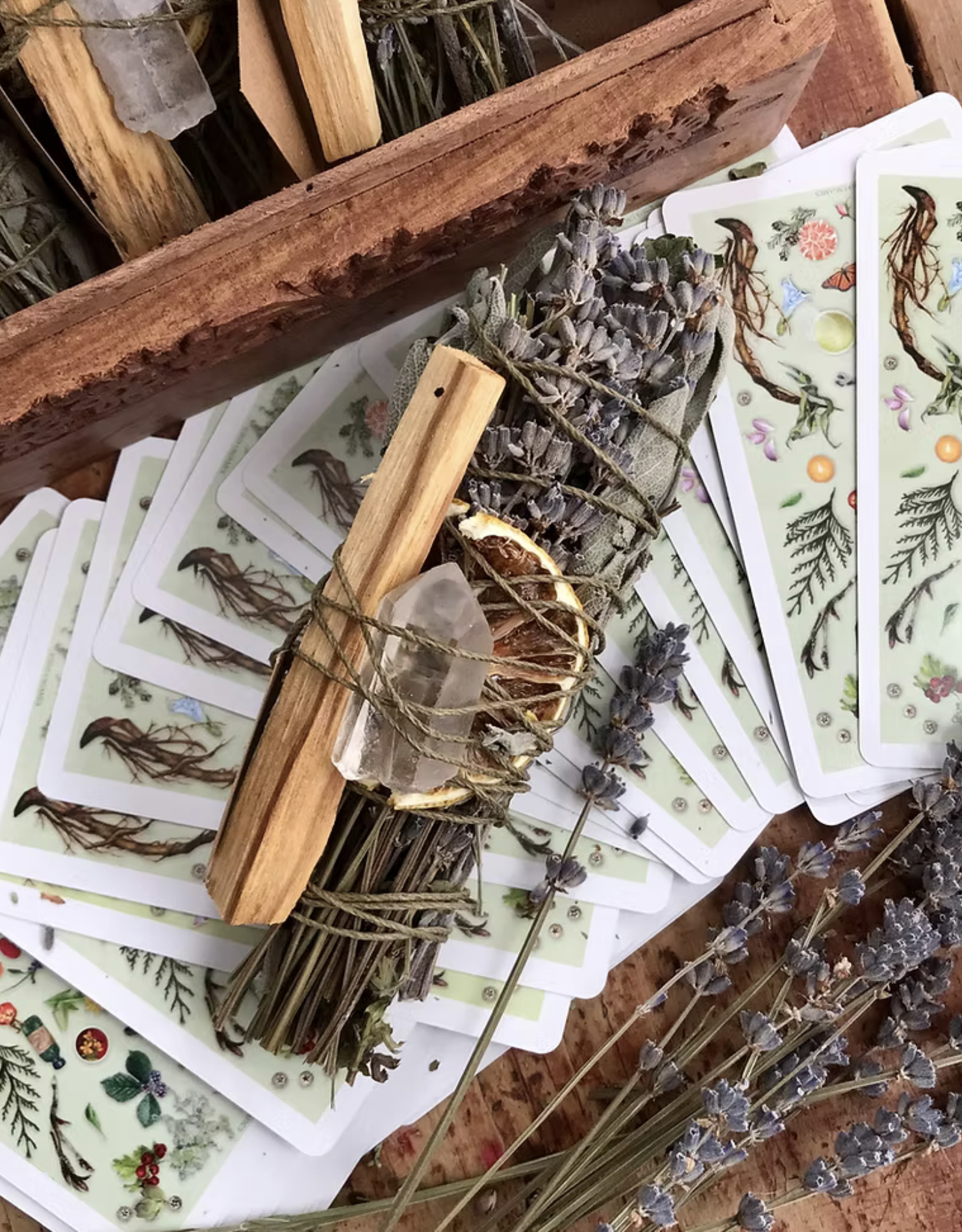 Mind Body Spirit Cleanser Bundle