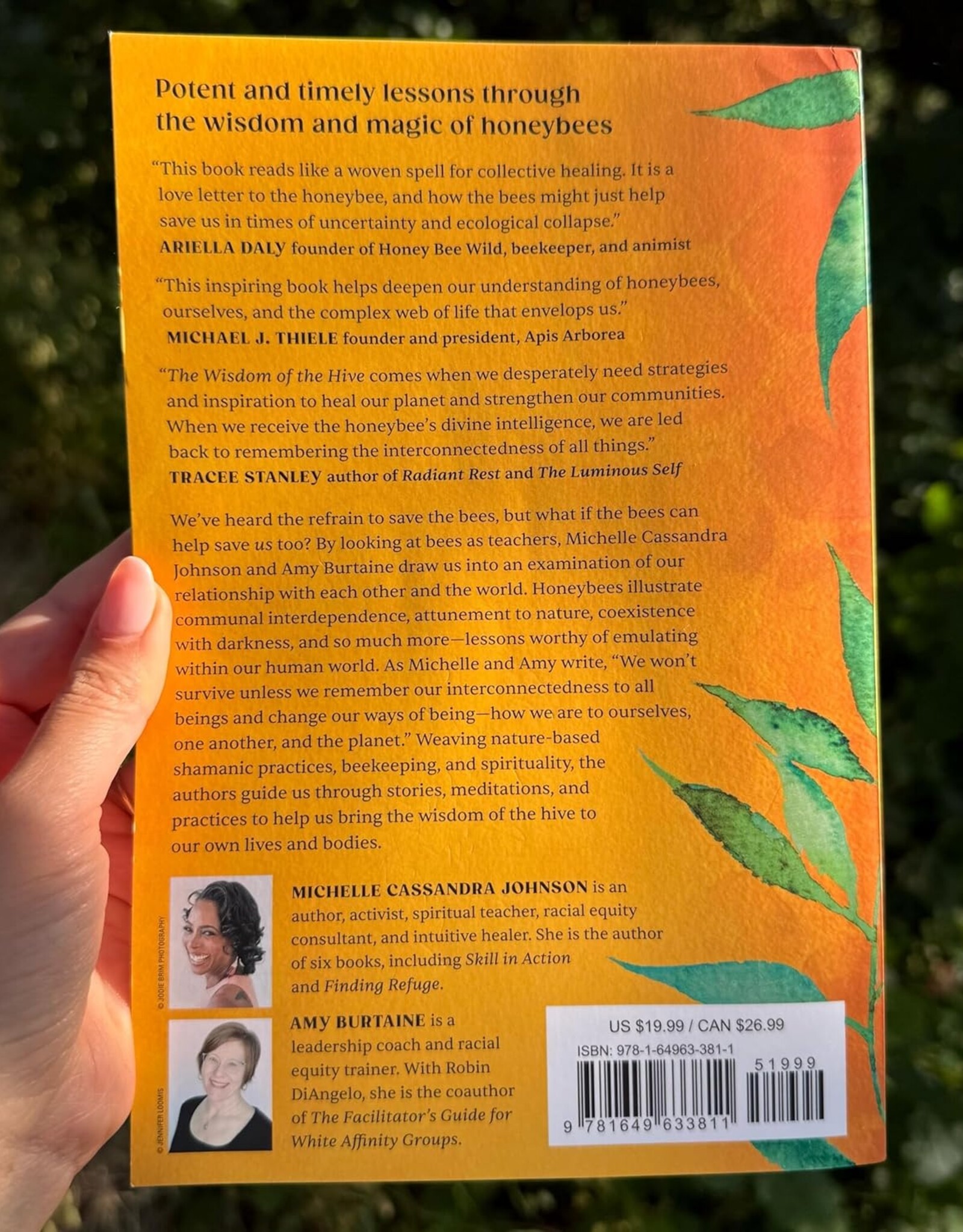 -The Wisdom of the Hive