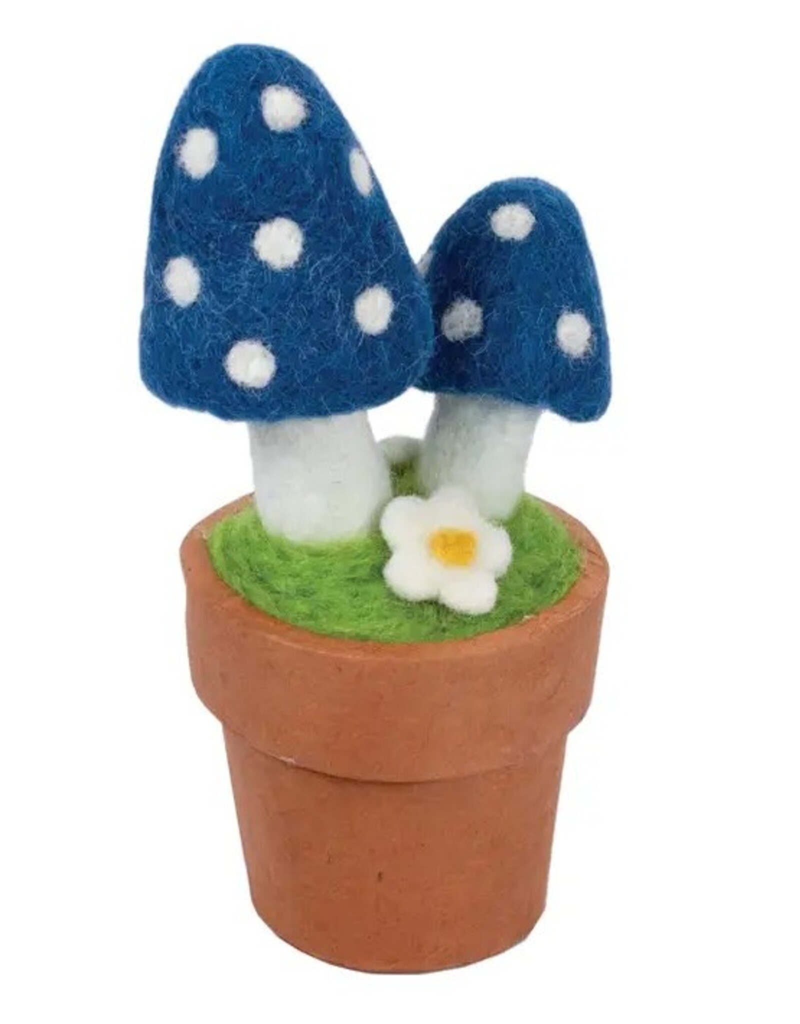 *Potted Plant: Magic Mushroom - Blue