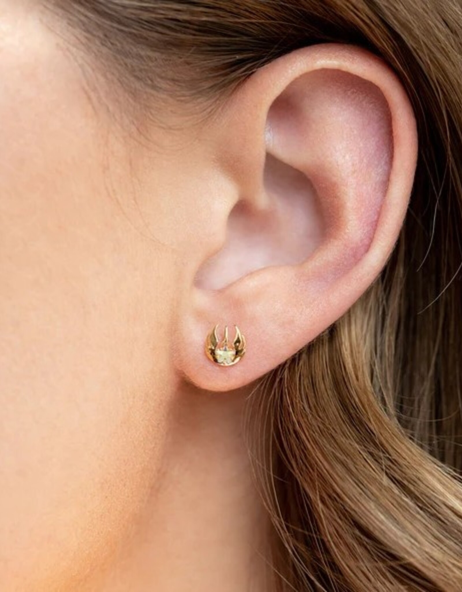 *The return of the jedi rebellion stud set gold
