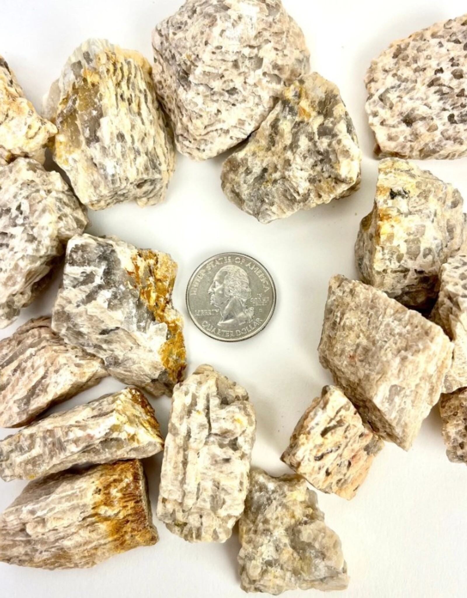 Zebradorite Rough | 30-50mm