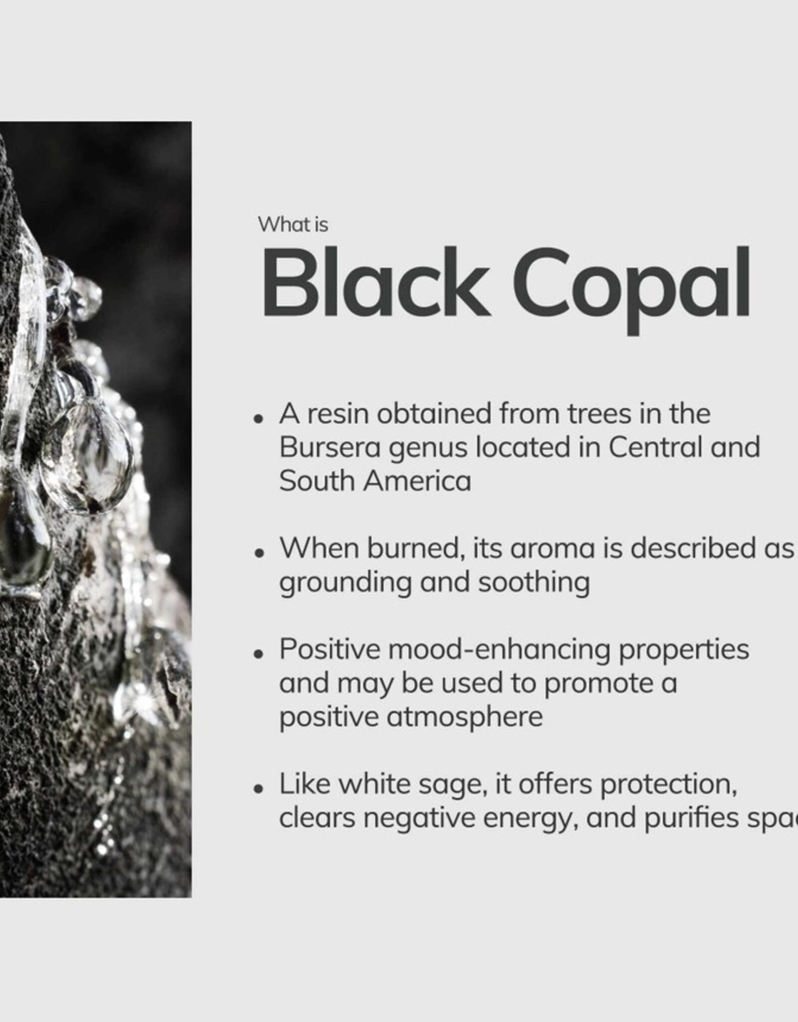 Black Copal Hand-Rolled Incense Stick