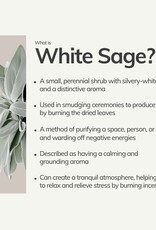 White Sage Hand-Rolled Incense Stick