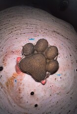 -Night Walker | Fall Inspired Crystal Infused Bath Bomb