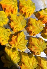 *Fallen Leaves | Fall Inspired Crystal Infused Bath Bomb