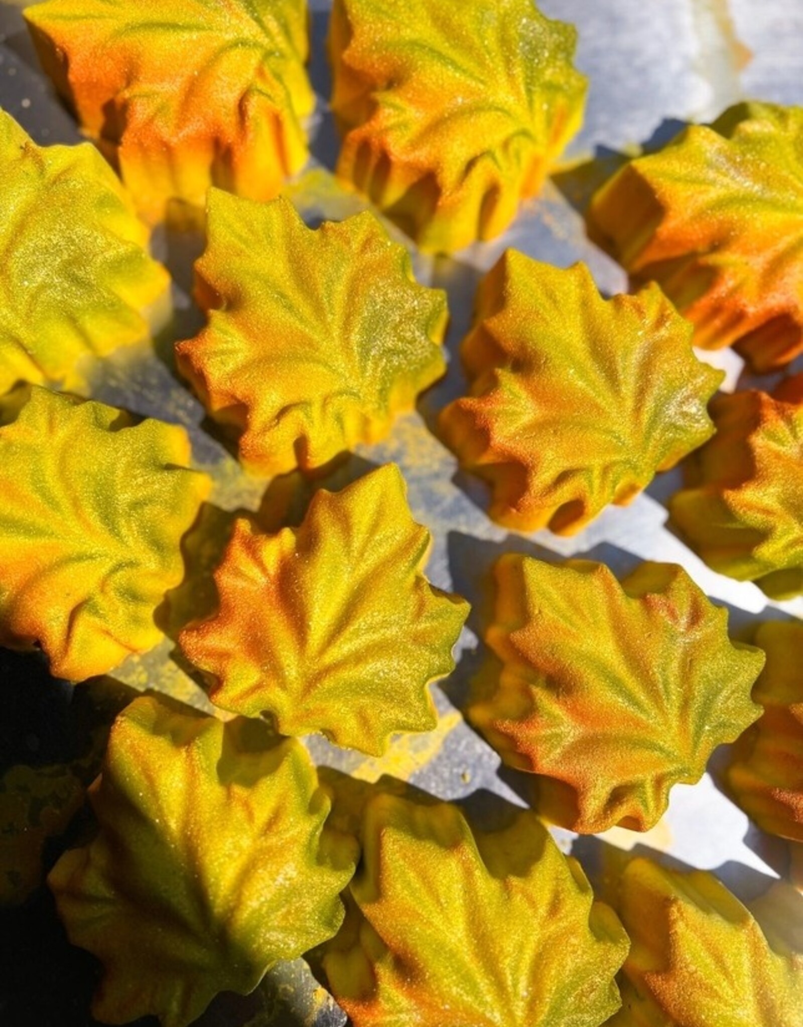 -Fallen Leaves | Fall Inspired Crystal Infused Bath Bomb