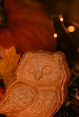 -Autumn Hoot |  Owl Themed Fall Crystal-Infused Bath Bomb